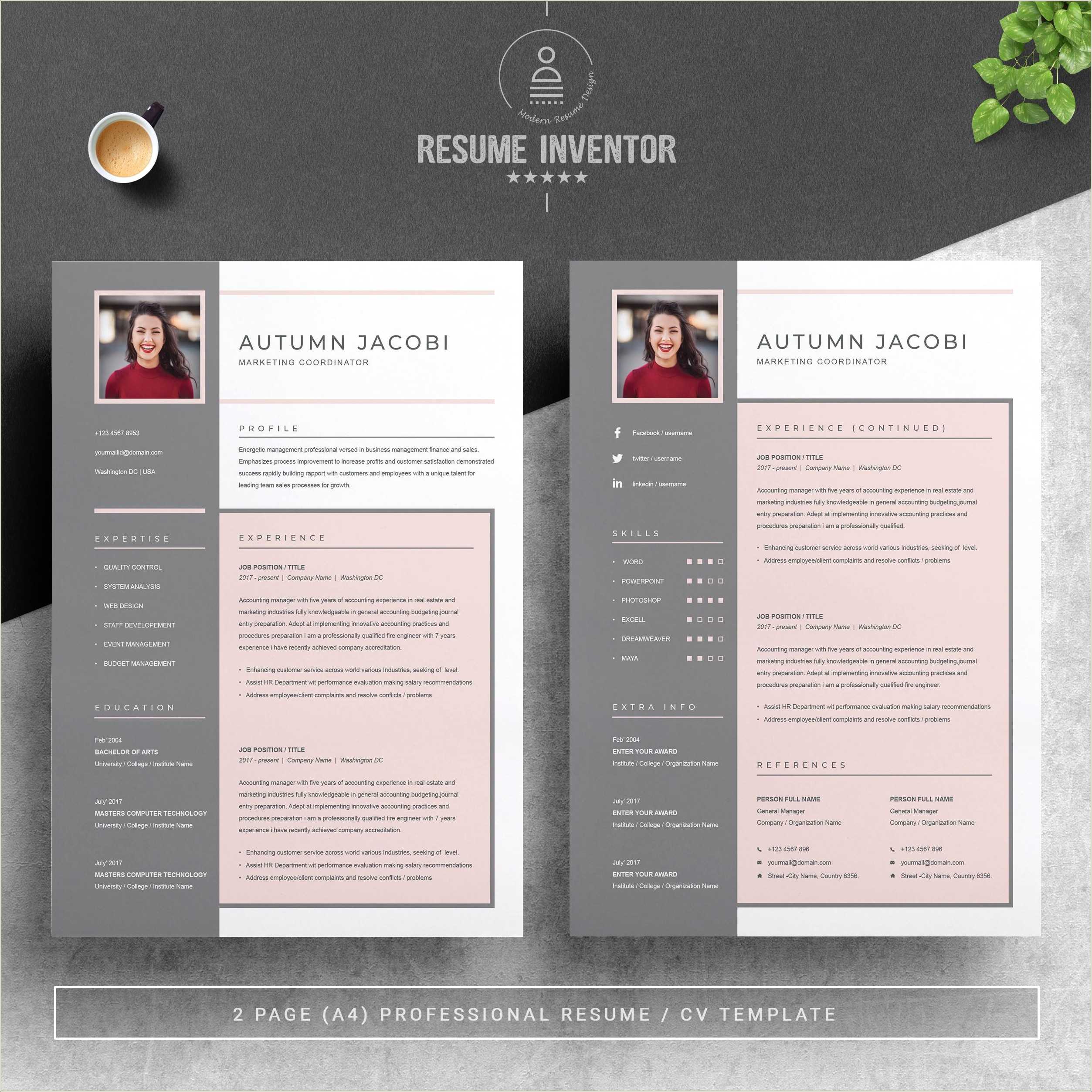 3 Page Resume Template Free Download Resume Example Gallery