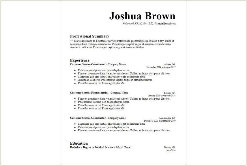 A Good Summary For A It Resume Resume Example Gallery