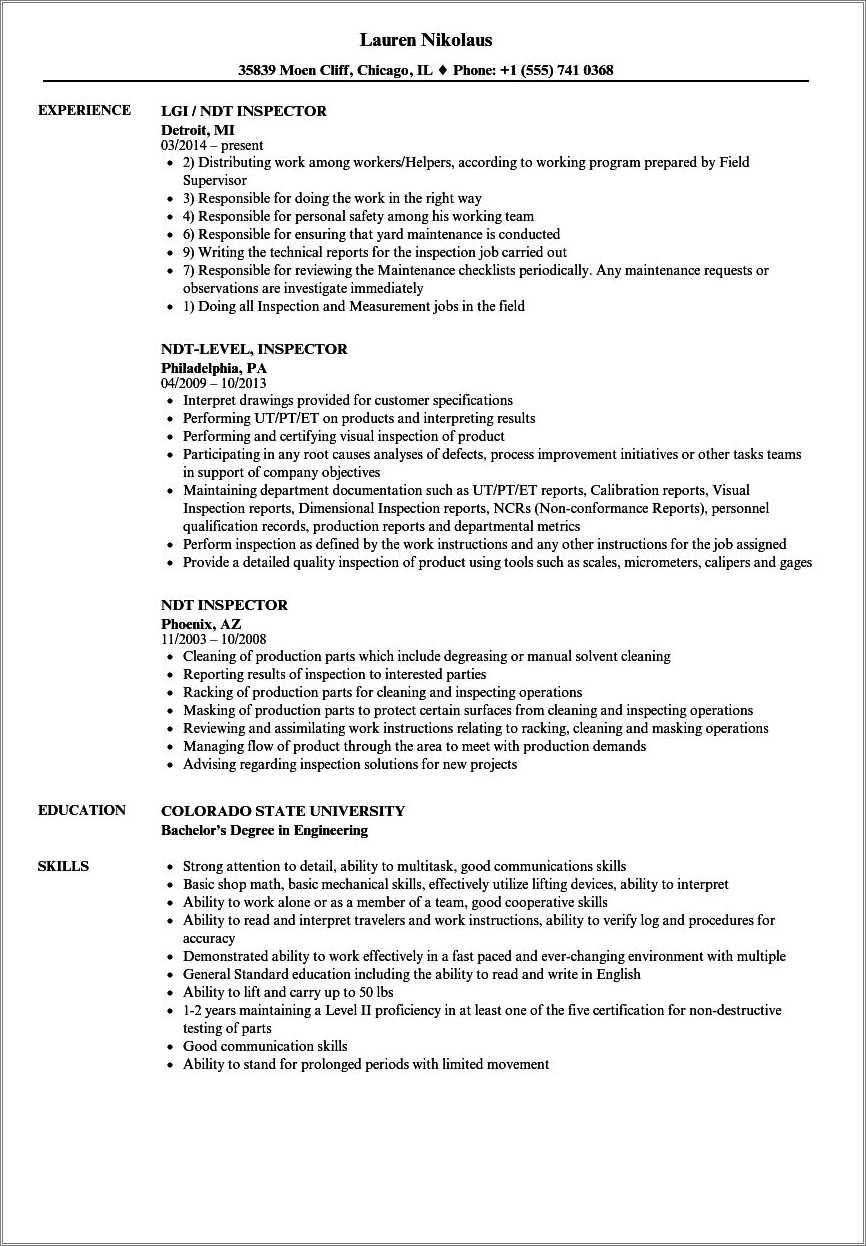 a-non-destructive-technician-resume-template-resume-example-gallery