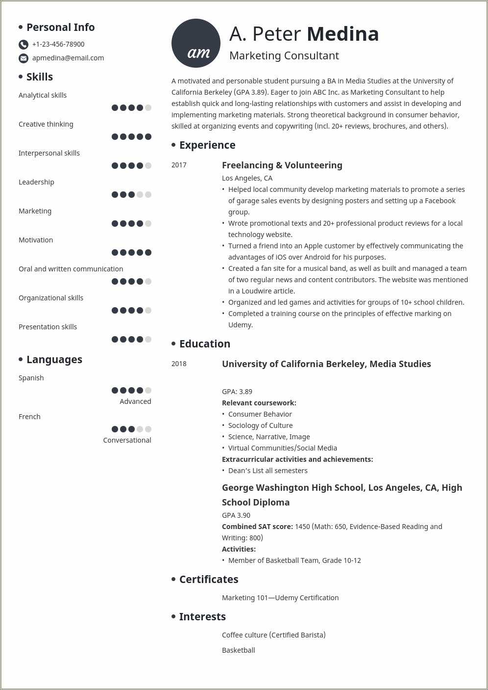 a-self-motivated-college-student-summary-resume-resume-example-gallery