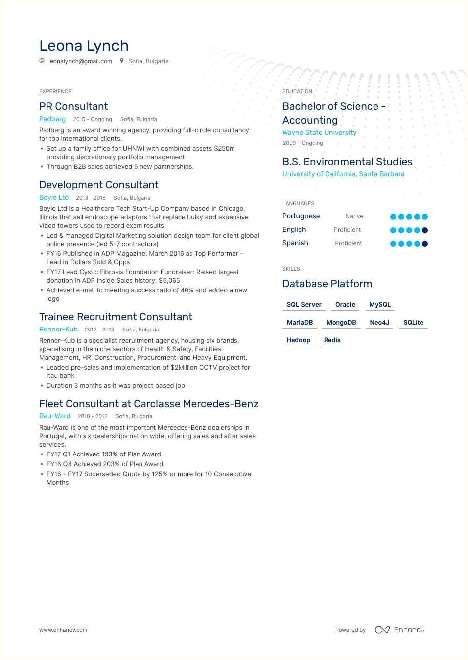 Accounting Consultant Job Description Resume Resume Example Gallery