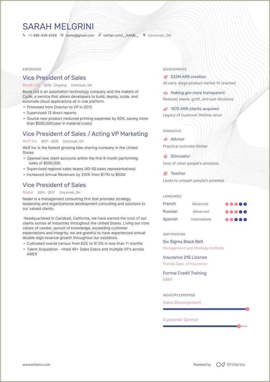 Achievement Oriented Sales Resume Example Resume Example Gallery