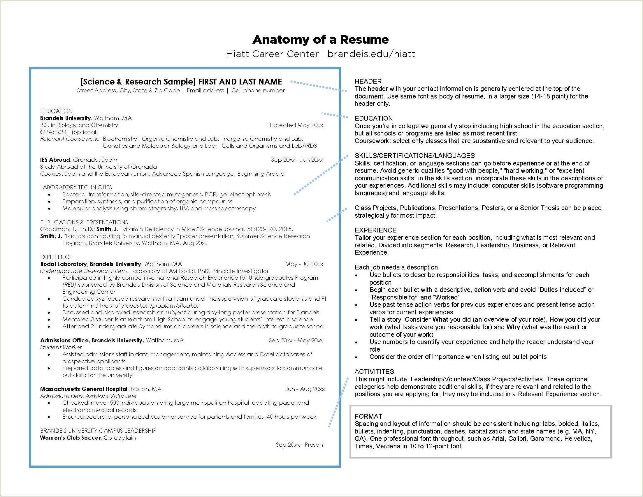 action-verbs-present-tense-resume-examples-resume-example-gallery