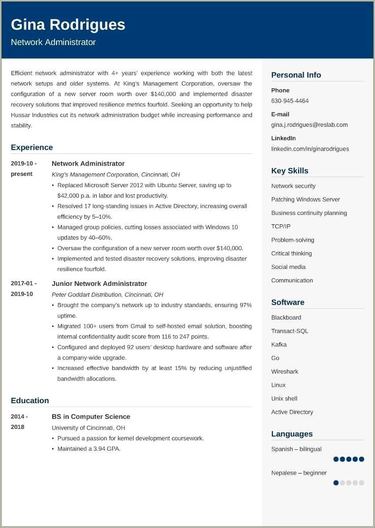 active-directory-it-resume-examples-resume-example-gallery