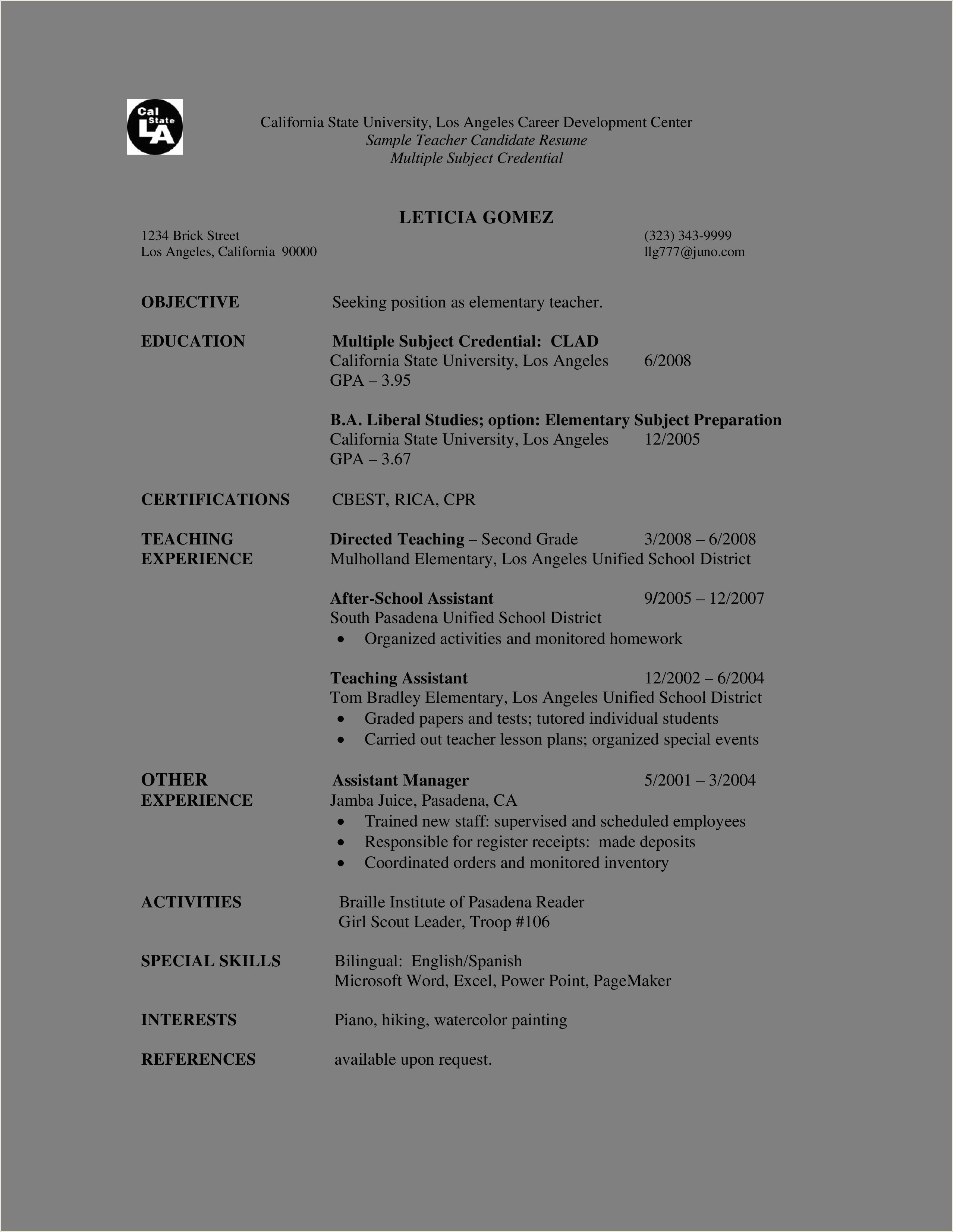 after-school-director-sample-resume-resume-example-gallery