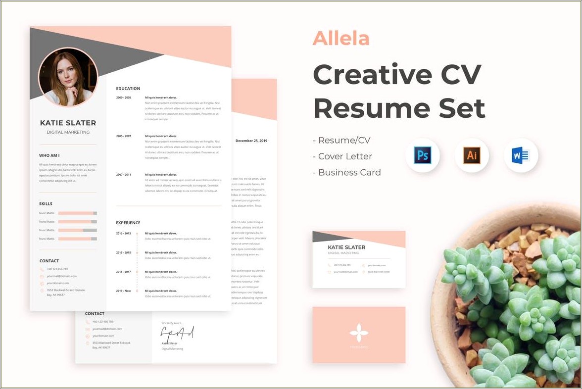 amazing-resume-templates-free-download-resume-example-gallery