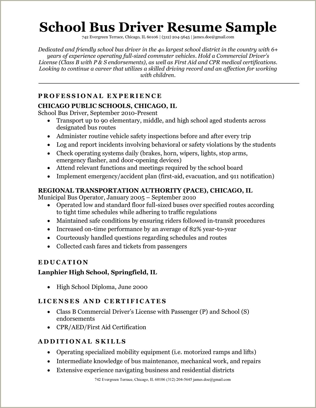 personal-car-driver-resume-sample-resume-example-gallery