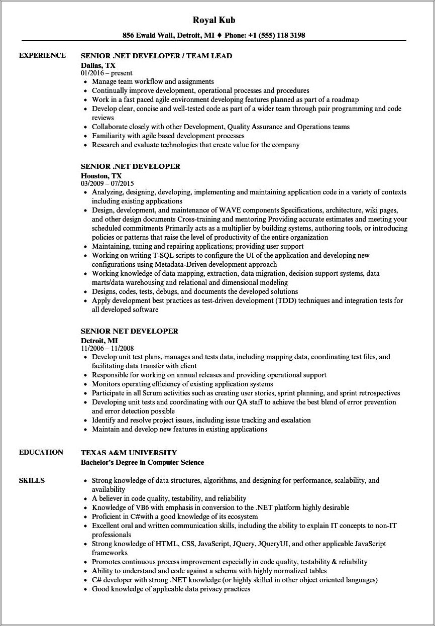 10-year-experience-resume-example-resume-example-gallery