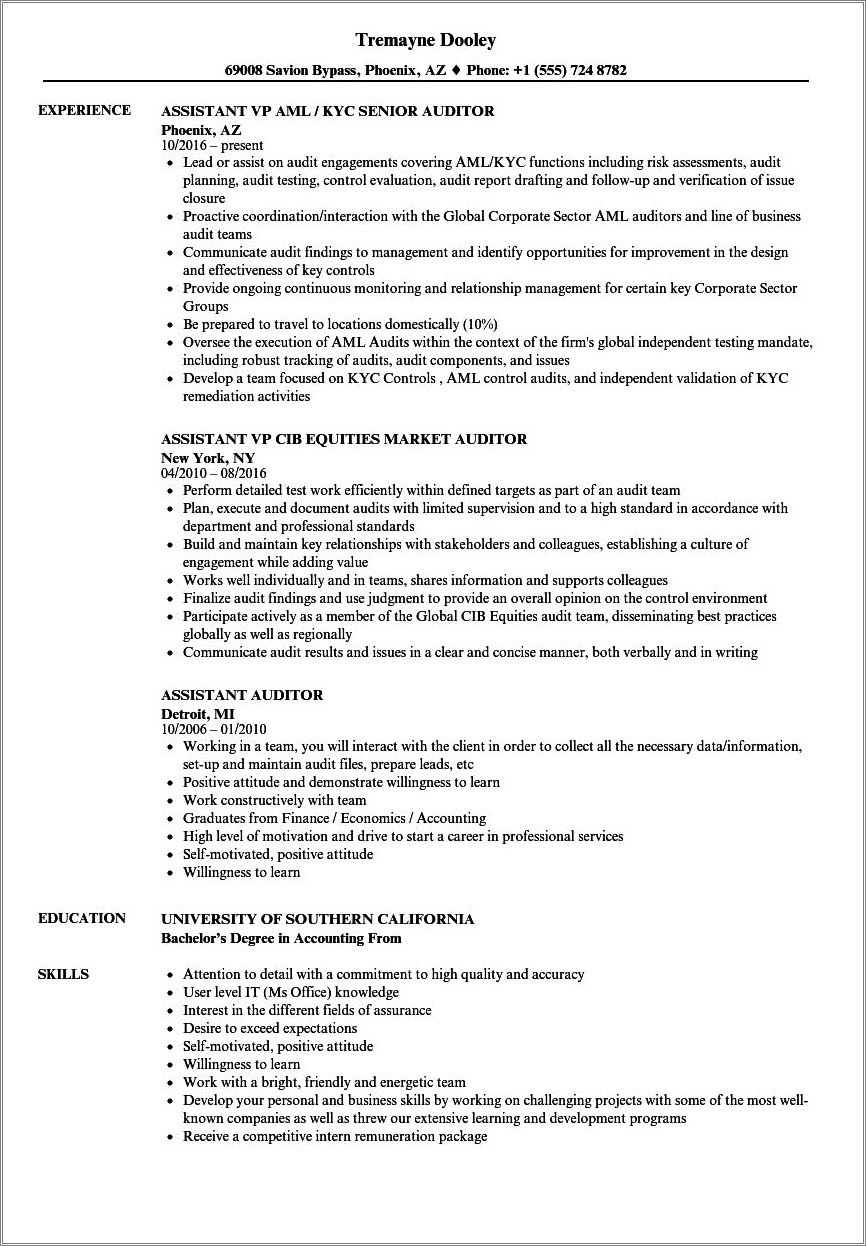 audit-assistant-resume-sample-india-resume-example-gallery