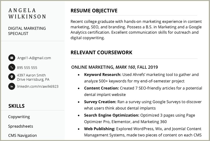 basic-resume-examples-with-no-experience-resume-example-gallery