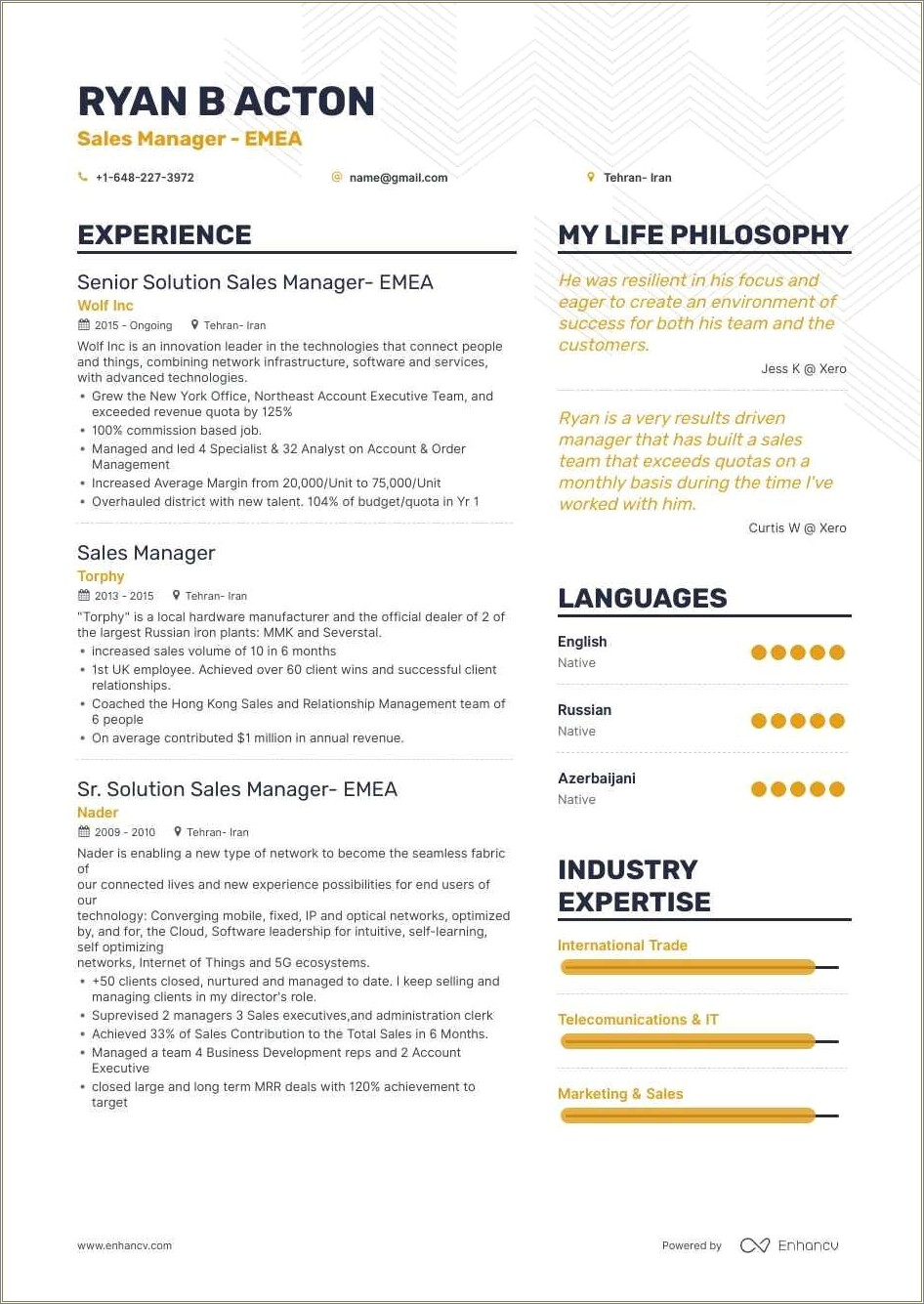 best-director-of-sales-resume-sample-resume-example-gallery