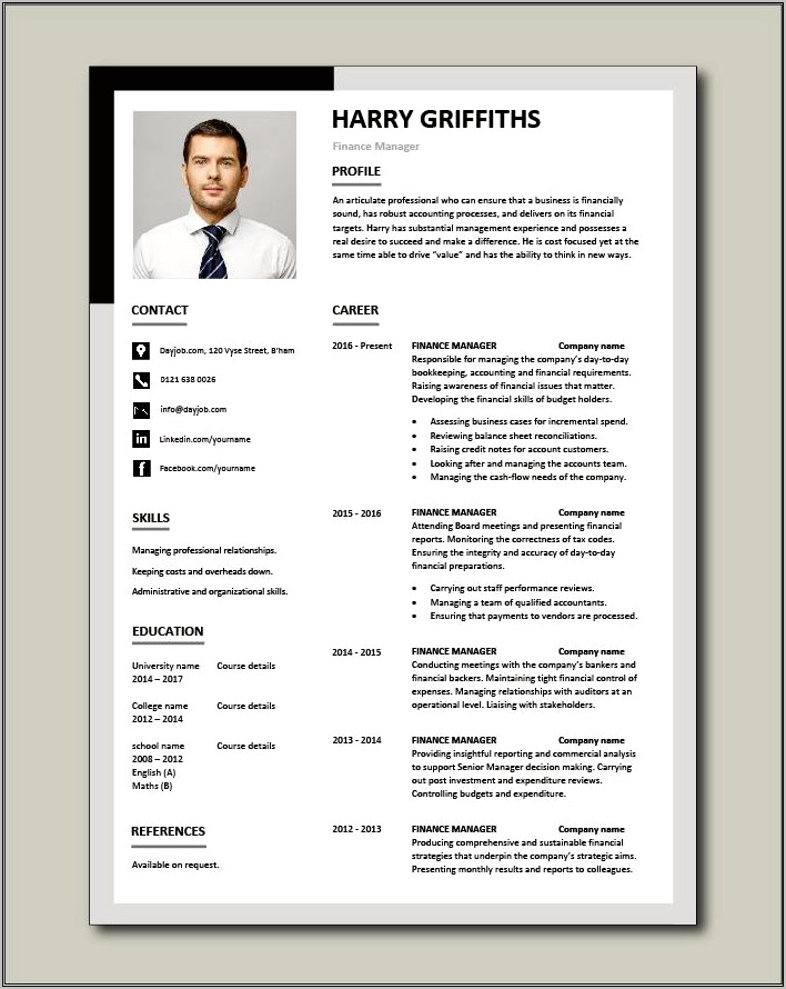 Best Finance Executive Resume Format Resume Example Gallery