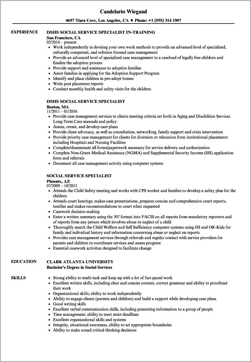 social-service-paraprofessional-resume-example-resume-example-gallery