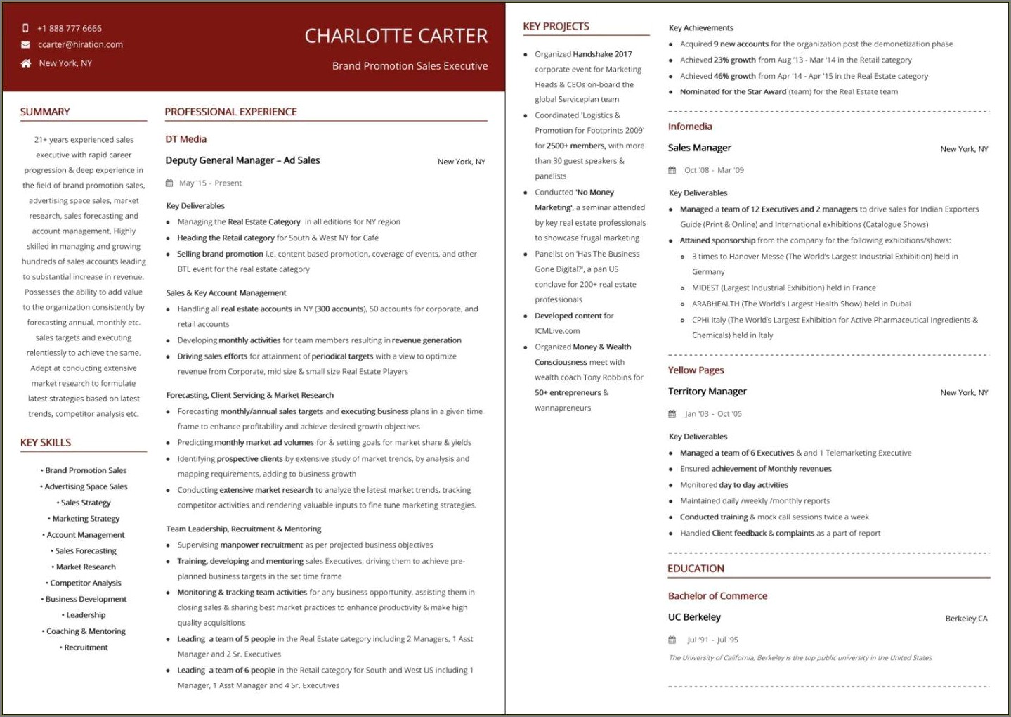 best-sales-manager-resume-samples-resume-example-gallery