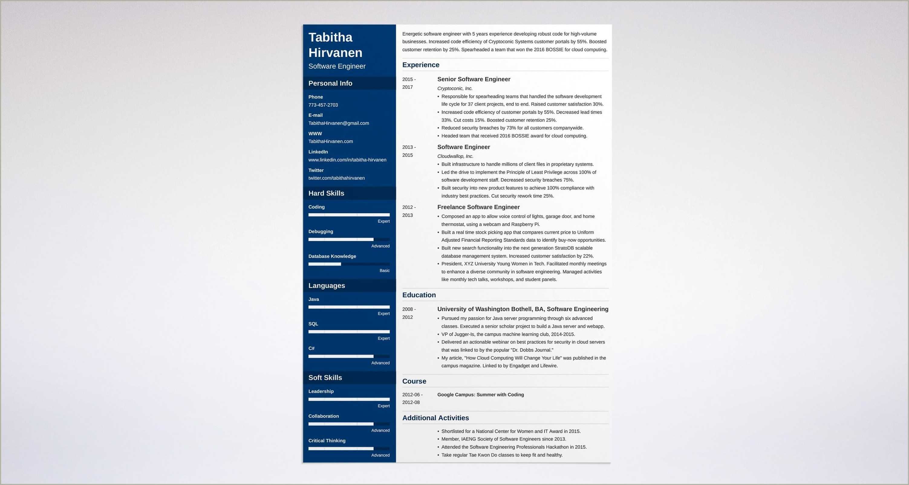 professional resume templates software developer