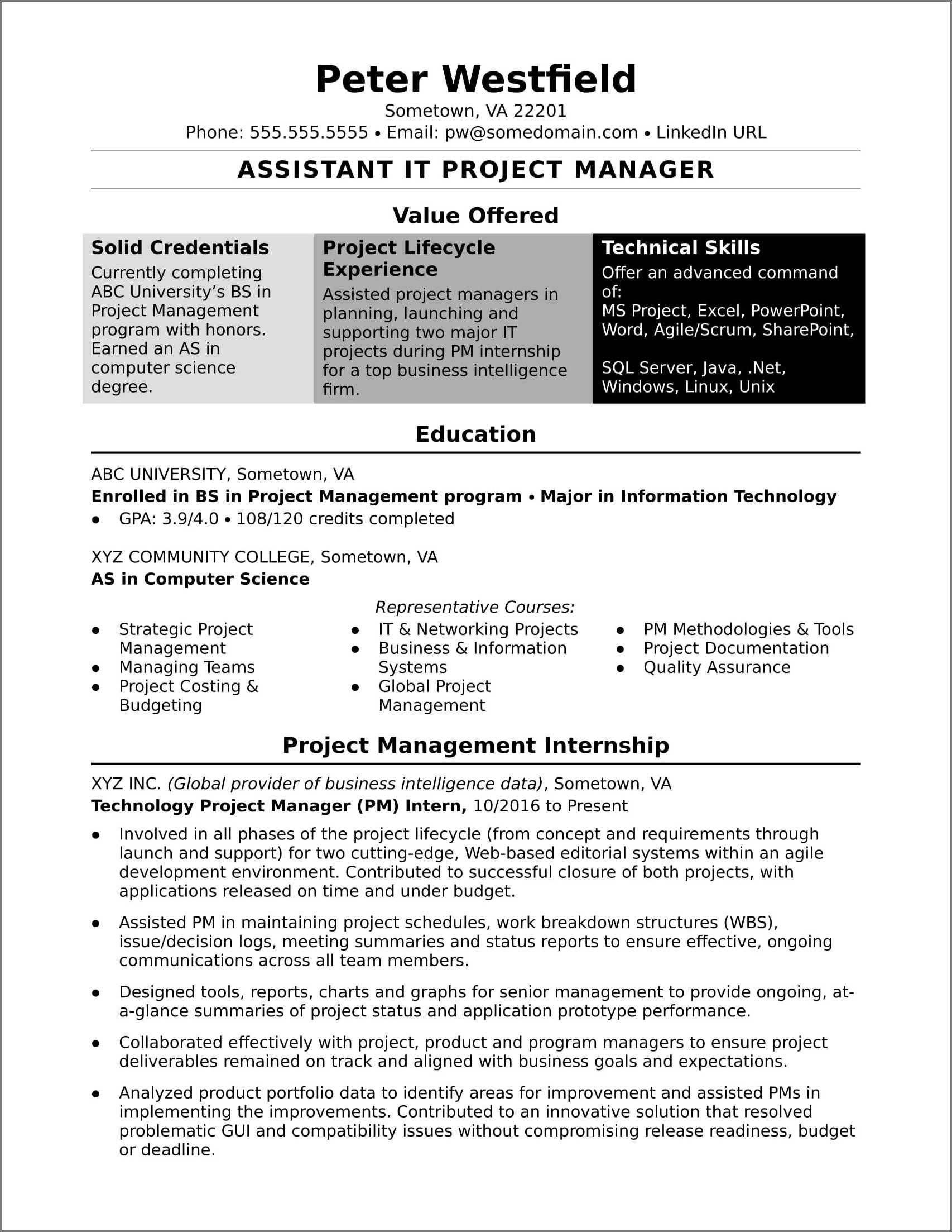 Sample Solar Project Manager Resume Resume Example Gallery