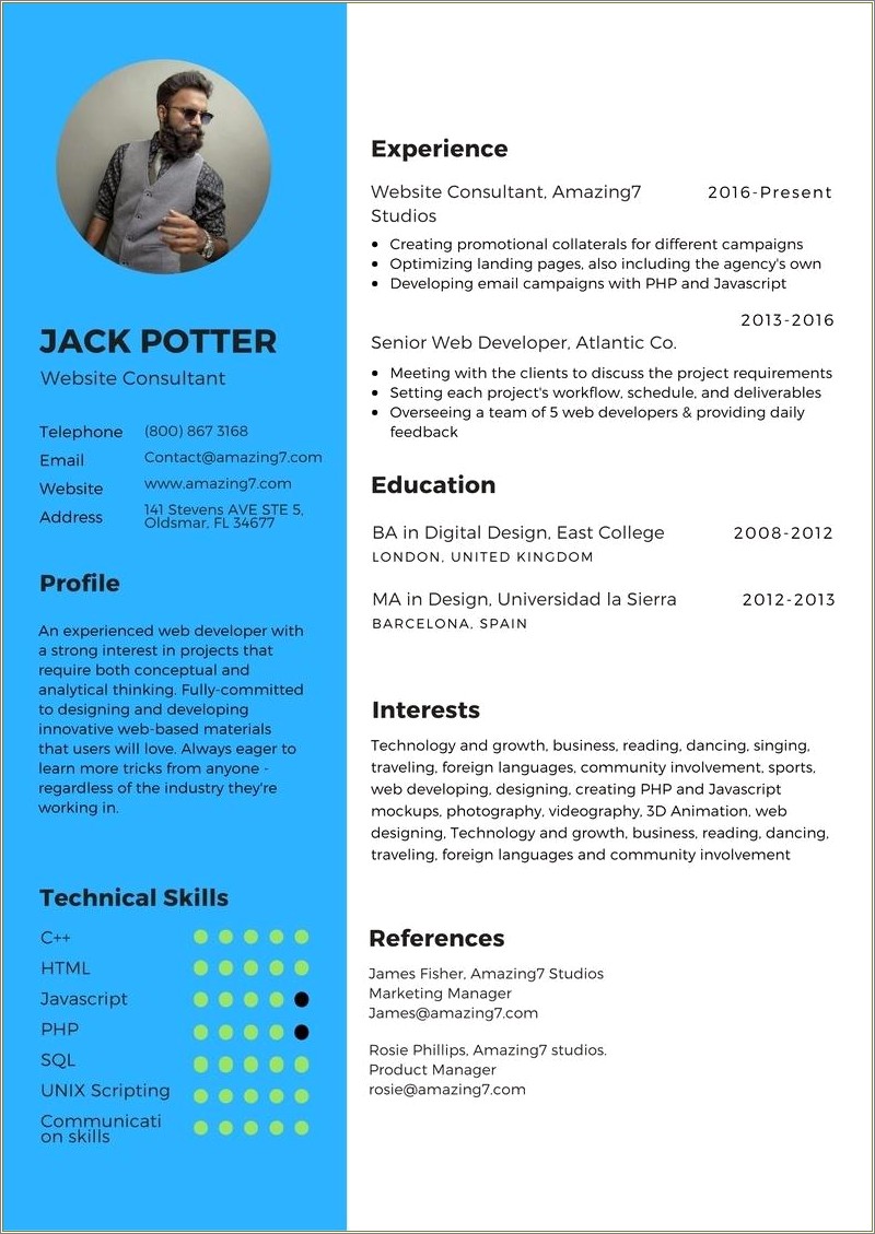 Big 4 Audit Manager Resume Sample Resume Example Gallery