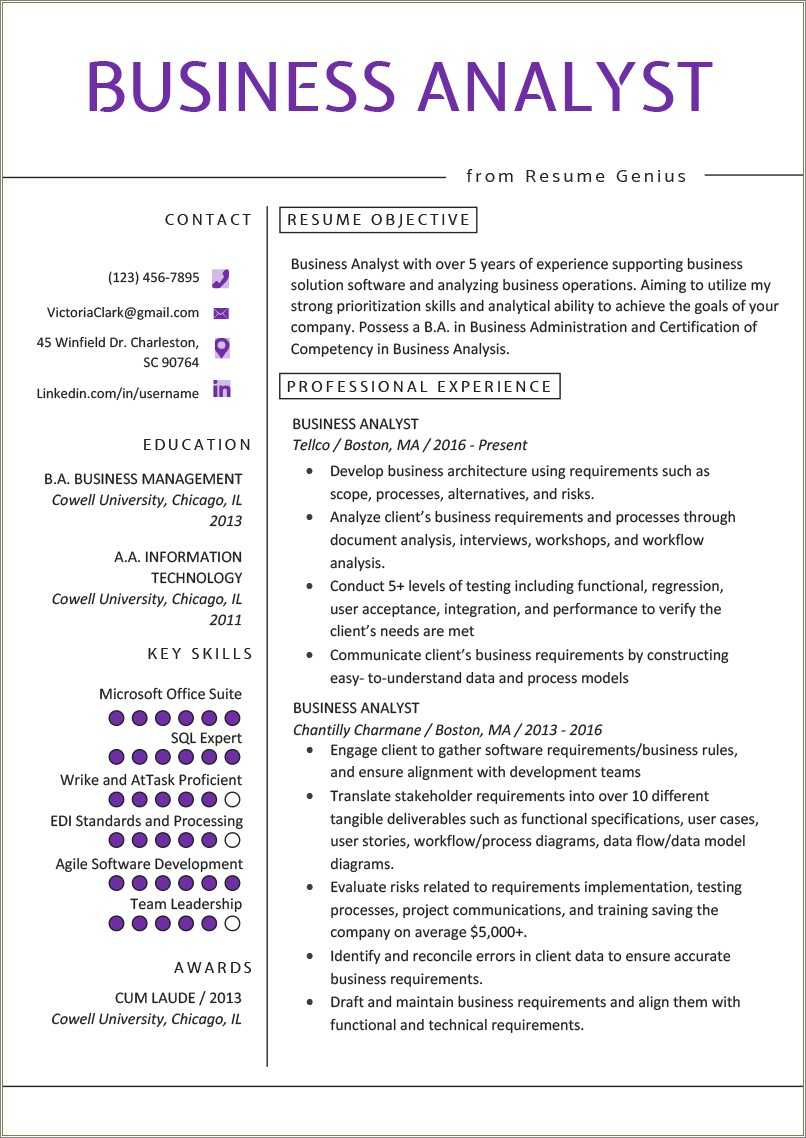 business-analyst-resume-summary-samples-resume-example-gallery