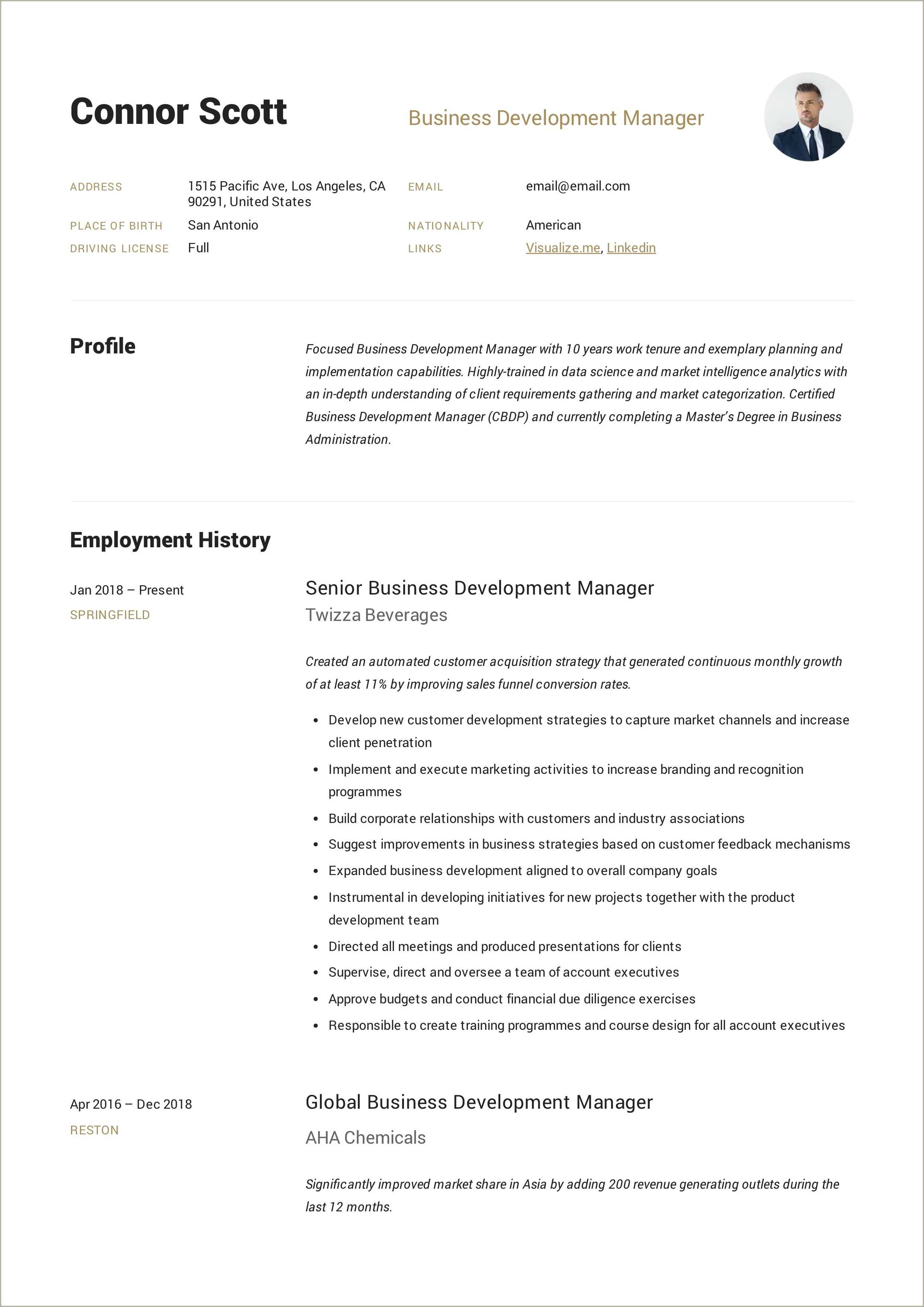 sales-business-development-manager-resume-resume-example-gallery