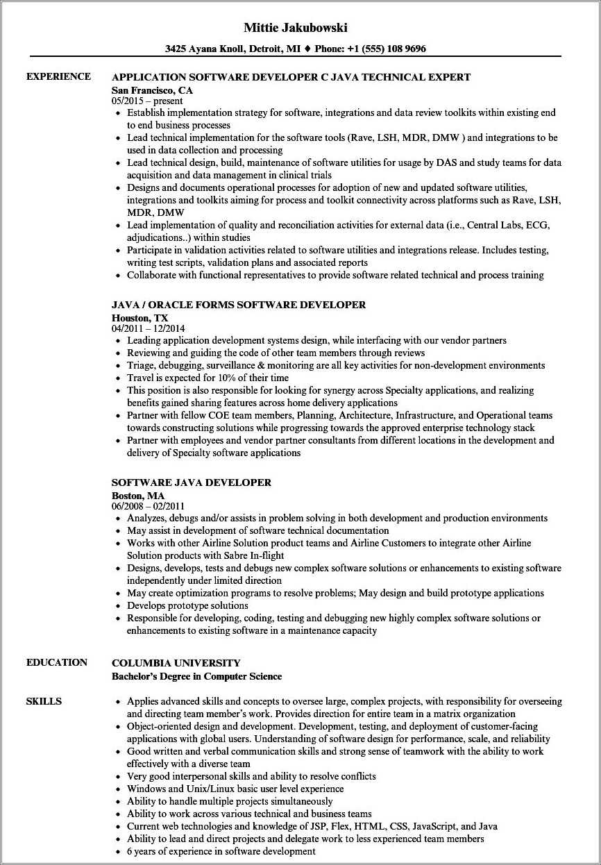 Net Software Developer Resume Example Resume Example Gallery