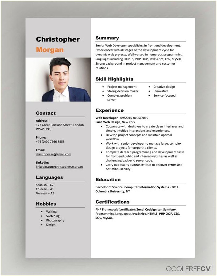 career-focus-for-resume-examples-resume-example-gallery