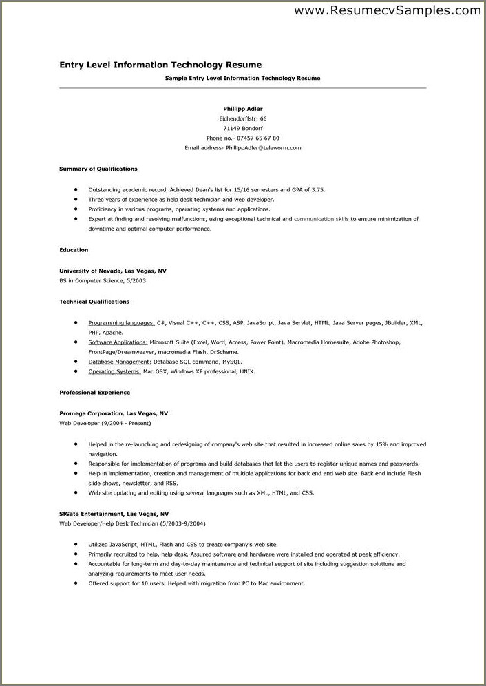 Information Technology Career Summary Resume Example - Resume Example ...