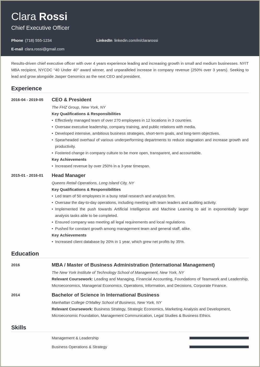 chief-audit-executive-resume-examples-resume-example-gallery