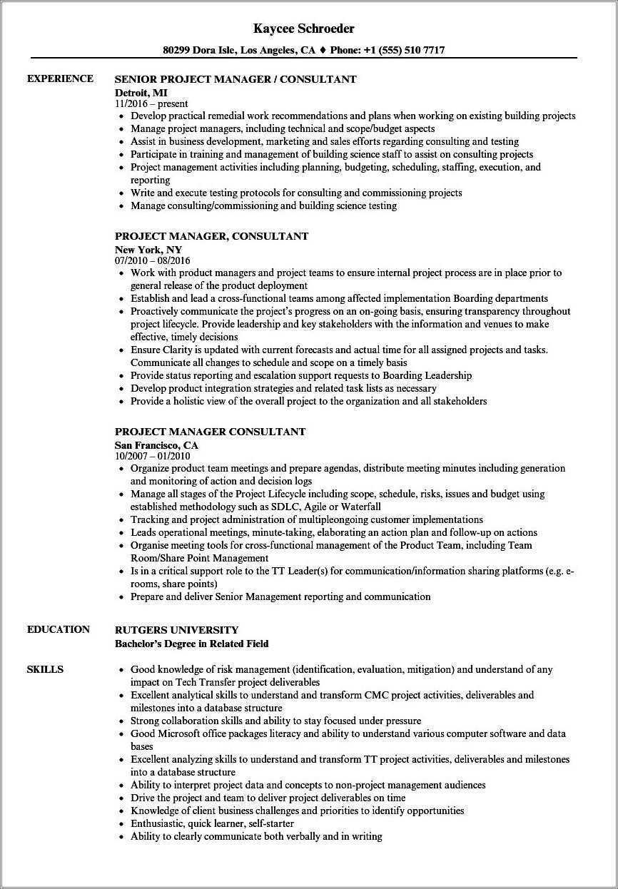 Consultant Resume Samples Multiple Clients Projects - Resume Example ...