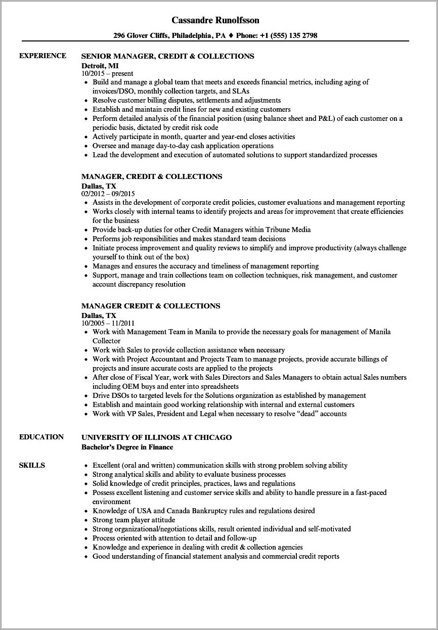 credit-collections-manager-resume-sample-resume-example-gallery