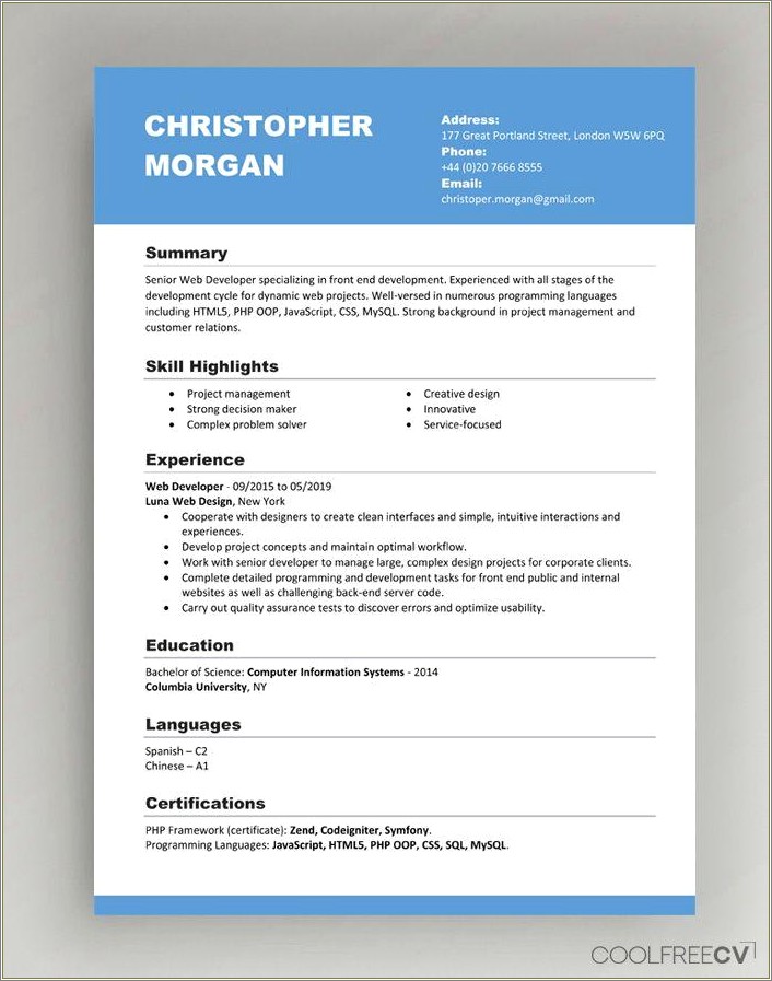 Curriculum Vitae Resume Templates Examples - Resume Example Gallery