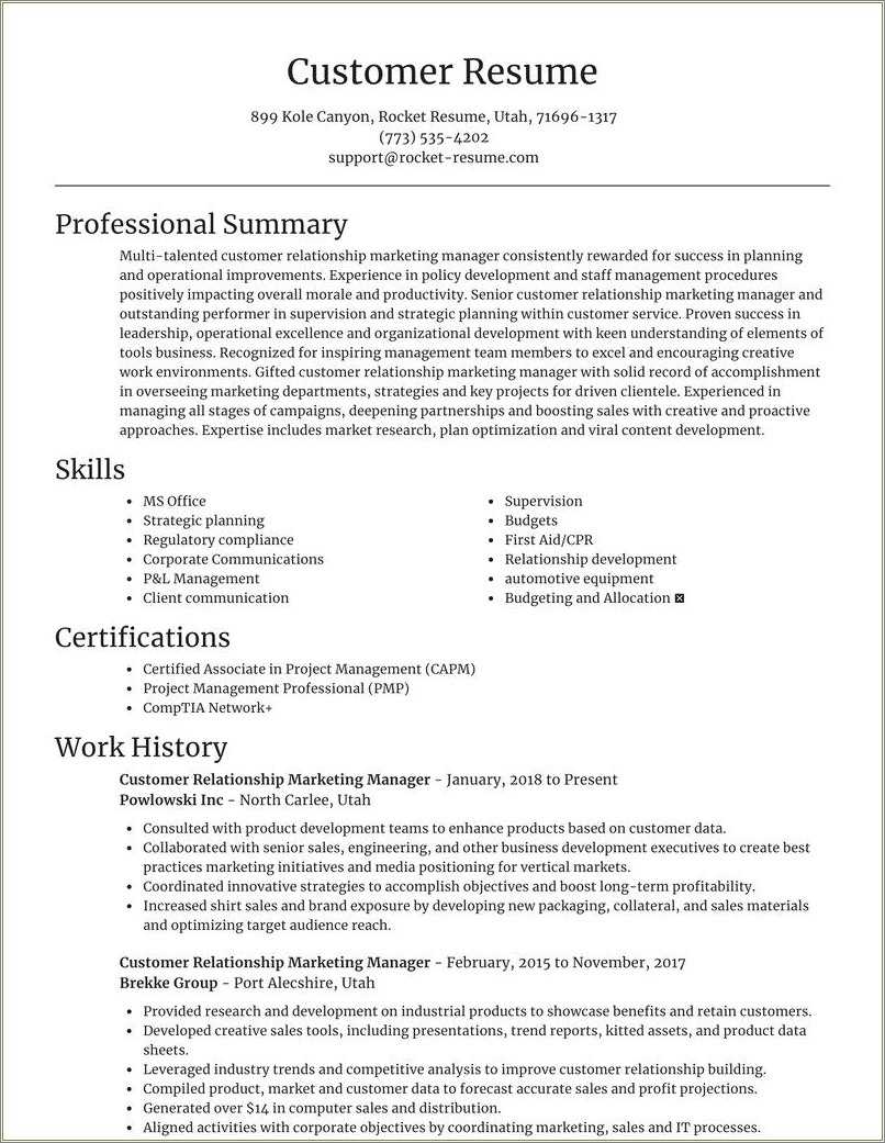 Customer Service Resume Professional Summary Examples Resume Example 