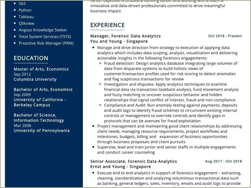 data-analysis-executive-resume-sample-resume-example-gallery