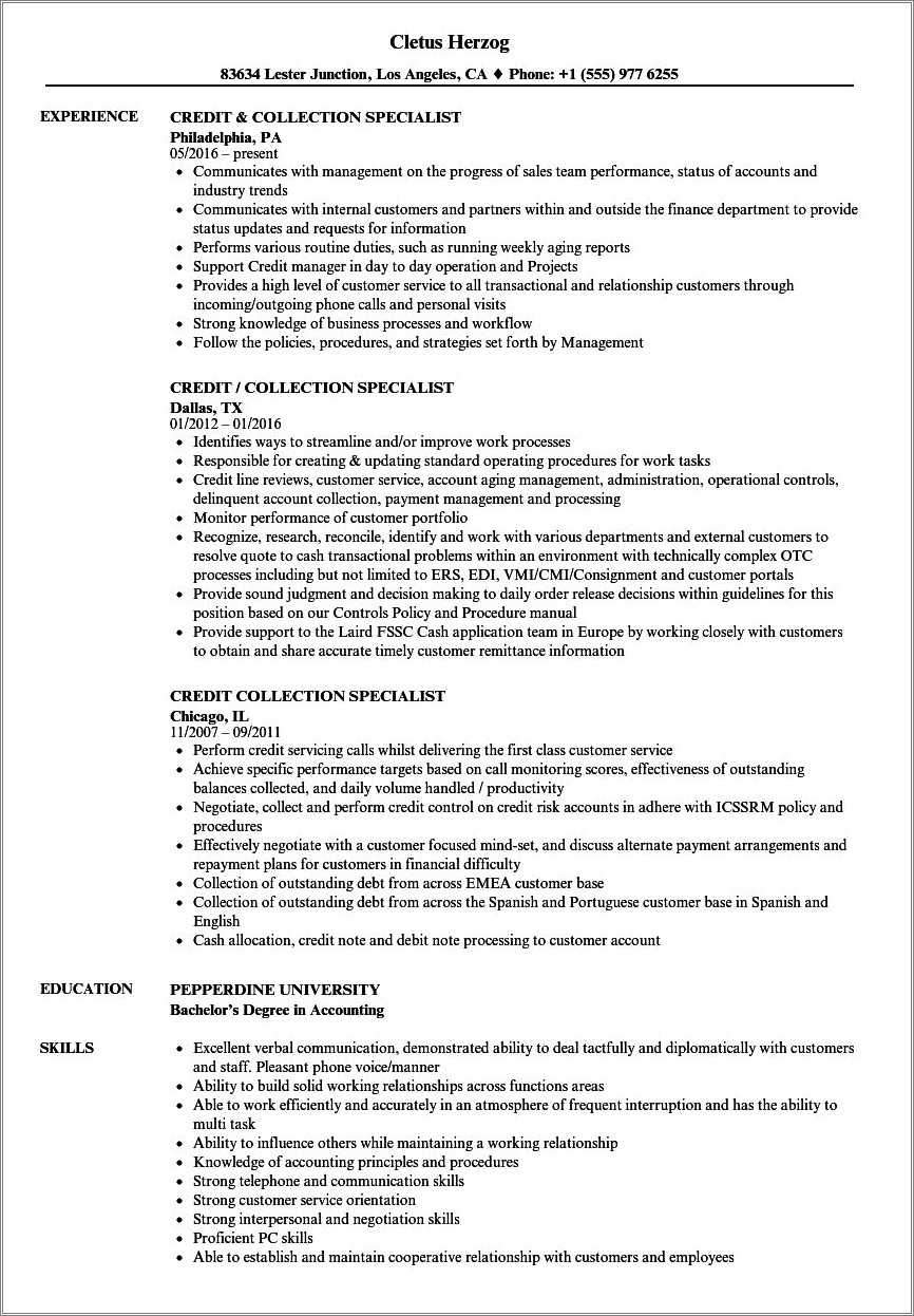 resume-examples-for-a-debt-collector-position-resume-example-gallery