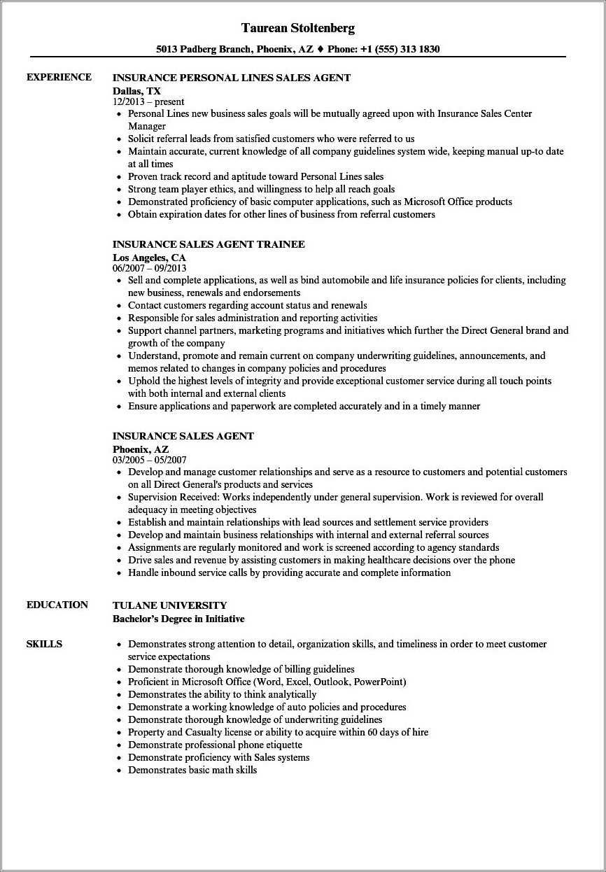 Check In Agent Job Description For Resume