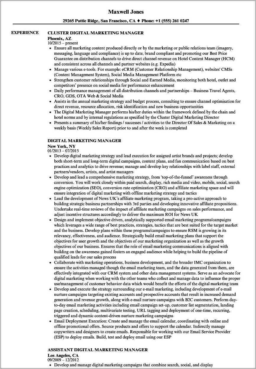 digital-marketing-coordinator-resume-summary-statement-resume-example