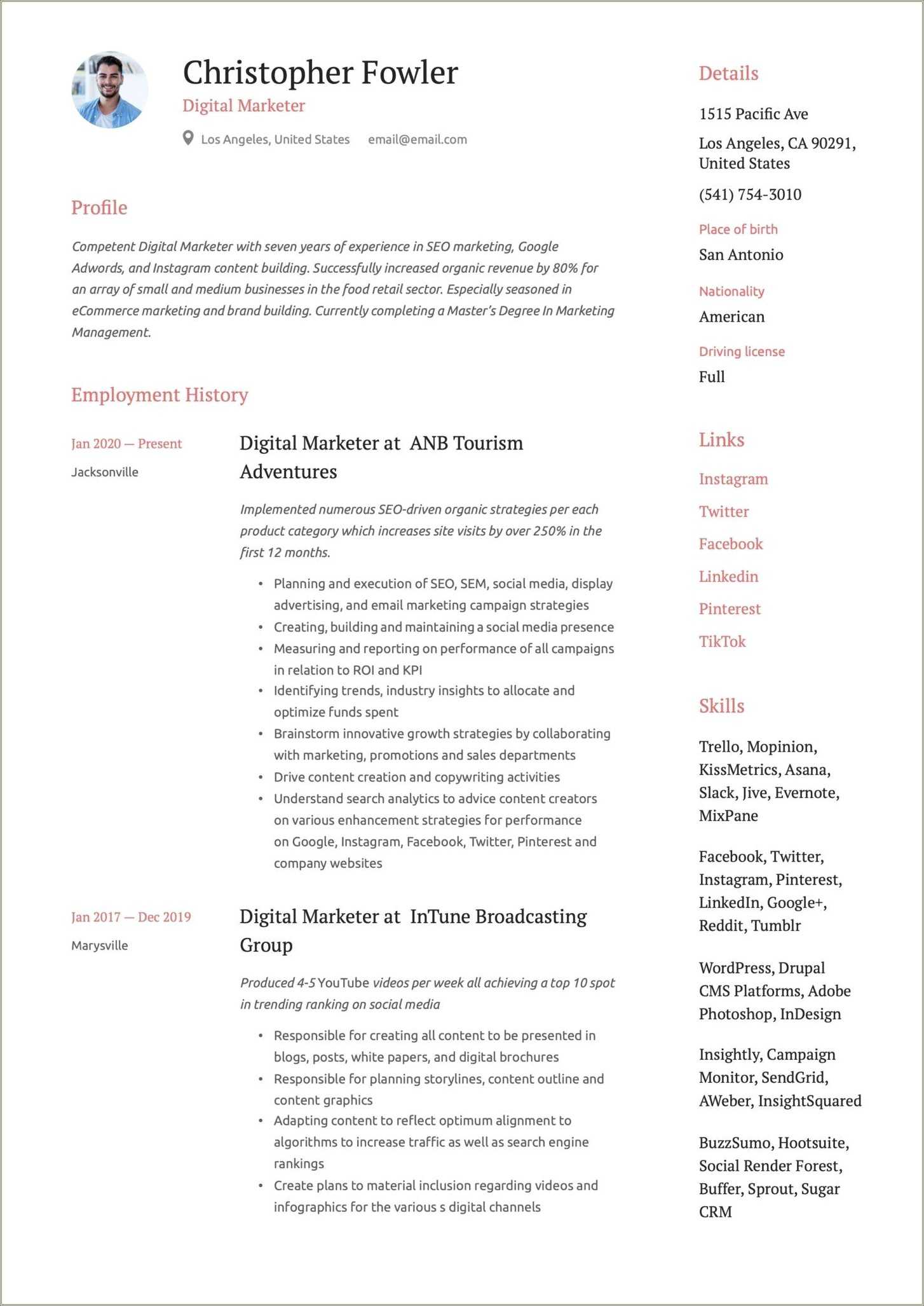 digital-marketing-resume-summary-statement-examples-resume-example