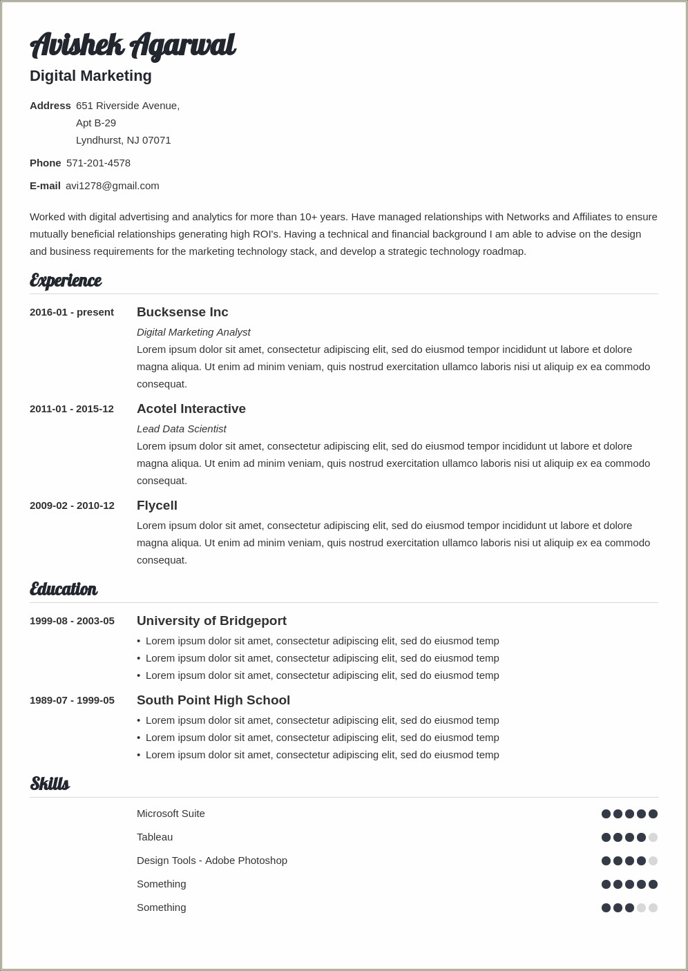 digital-marketing-skills-for-resume-resume-example-gallery