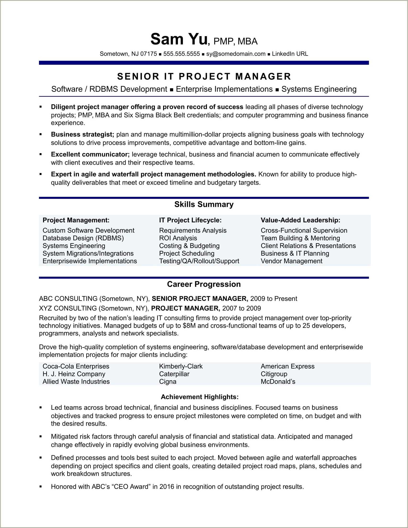 Resume Summary Project Manager Digital Resume Example Gallery