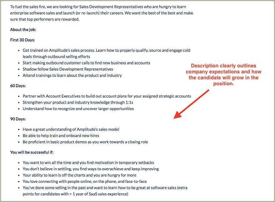 direct-sales-job-description-resume-resume-example-gallery