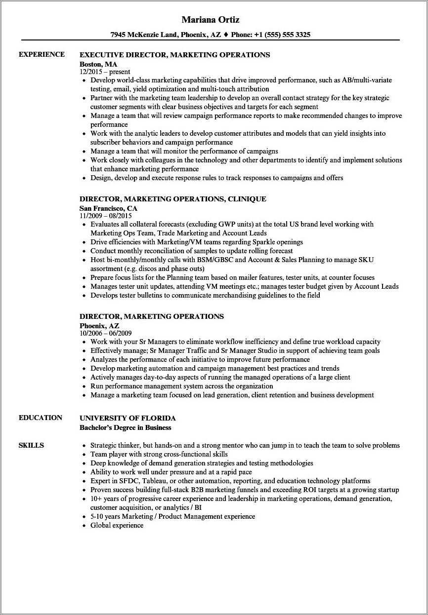 Director Business Operations Resume Sample Resume Example Gallery