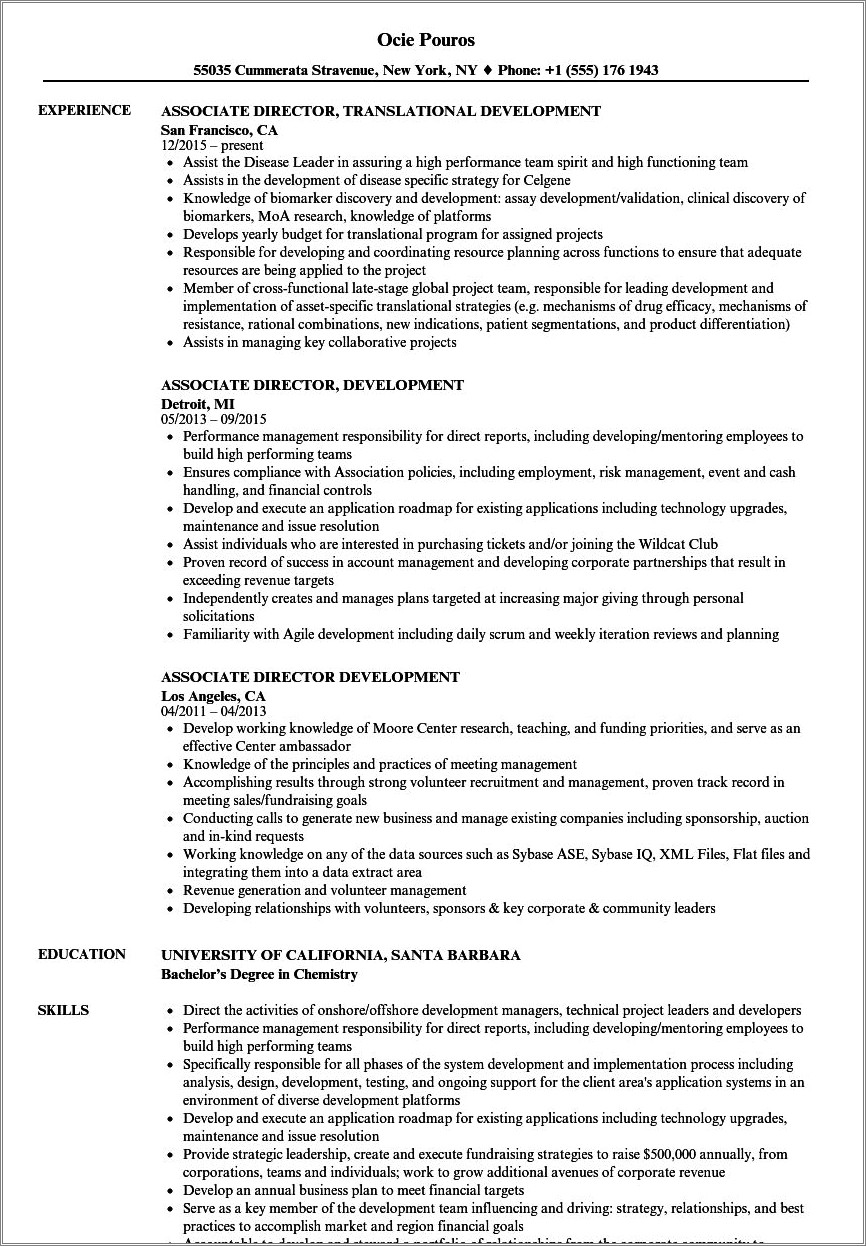 Director Of Development Resume Example - Resume Example Gallery