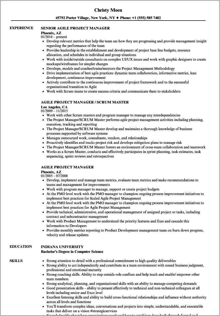 director-of-project-management-resume-example-resume-example-gallery