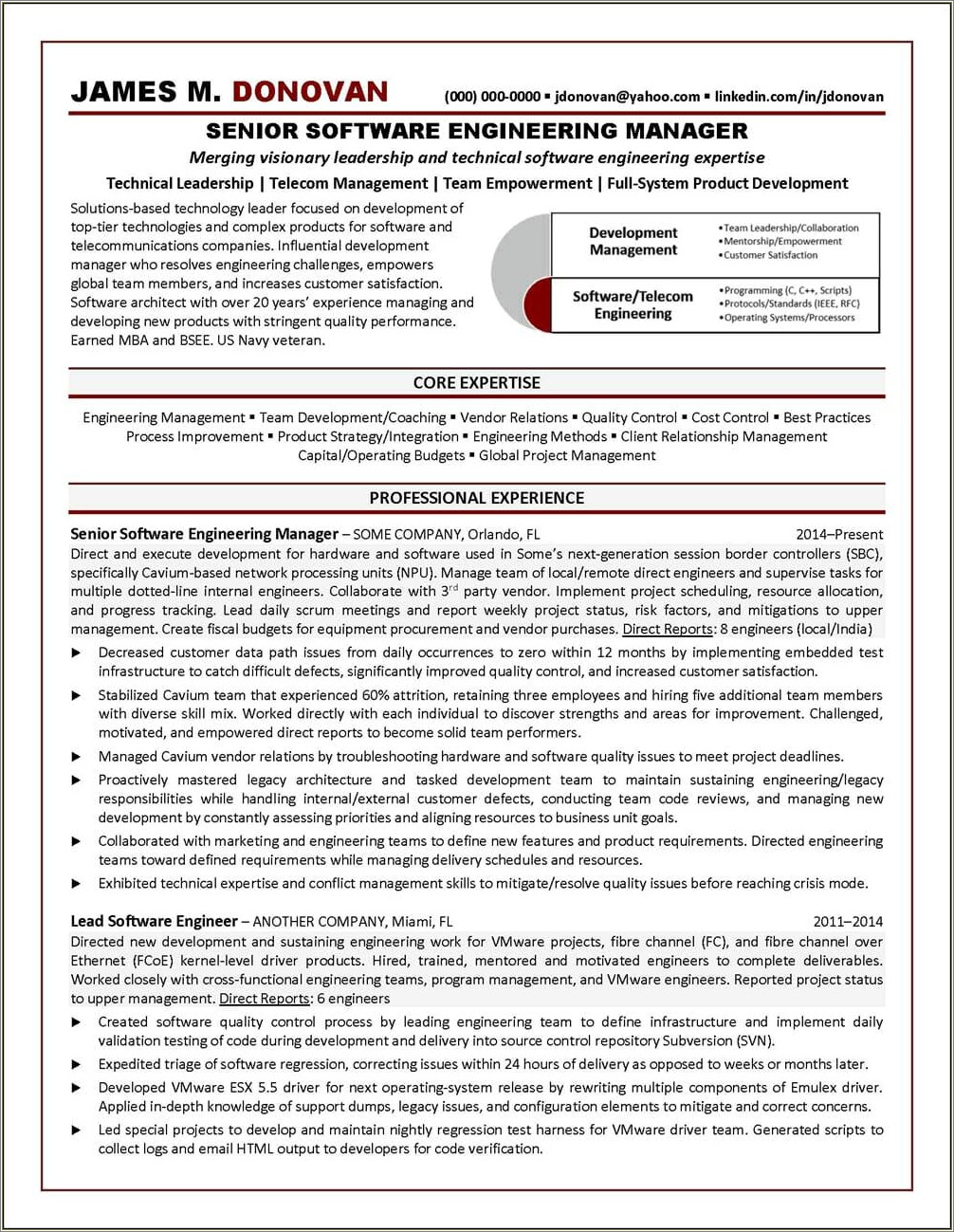 Director Software Development Resume Sample Resume Example Gallery