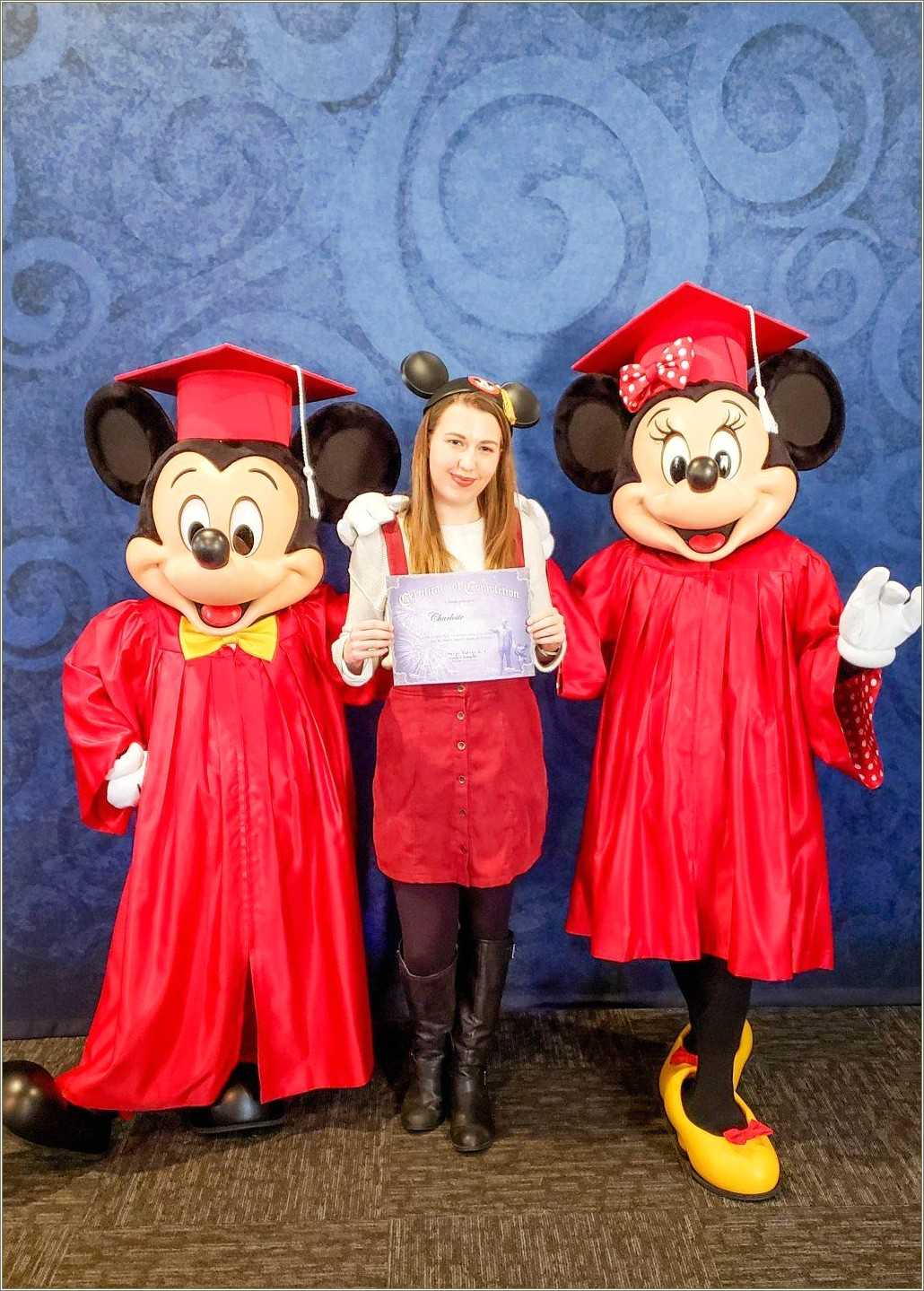 disney-college-program-resort-custodial-resume-example-resume-example