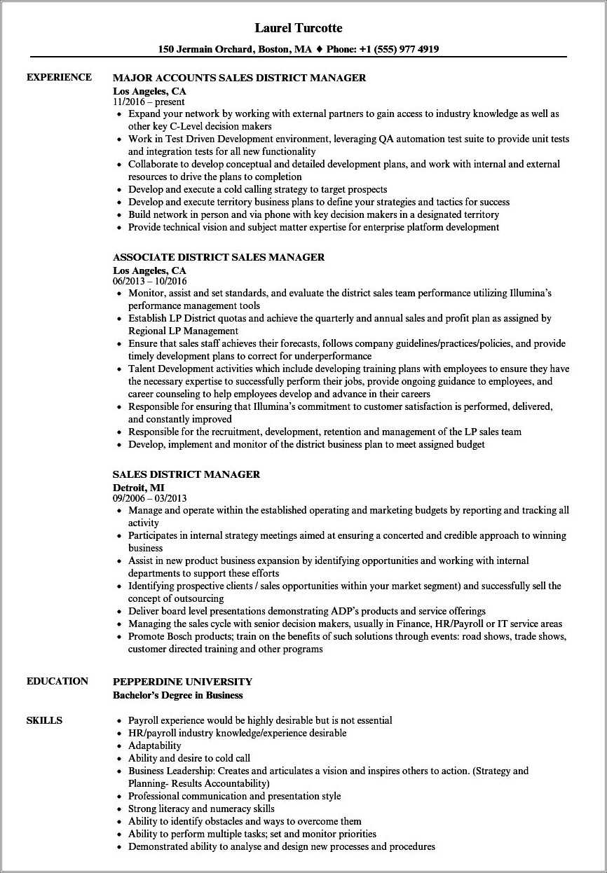 district-sales-manager-resume-example-resume-example-gallery