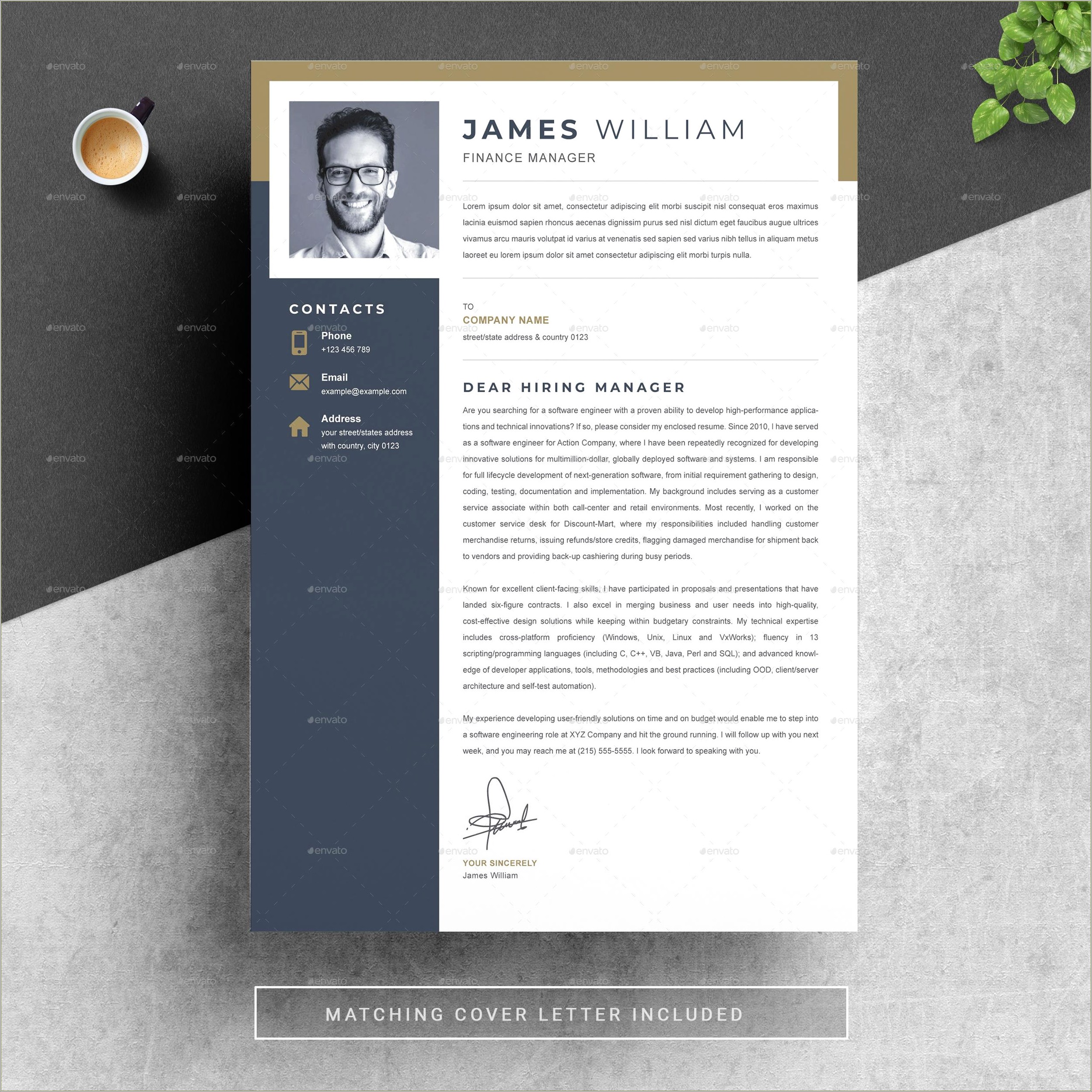 dollar-tree-merchanising-manager-resume-resume-example-gallery