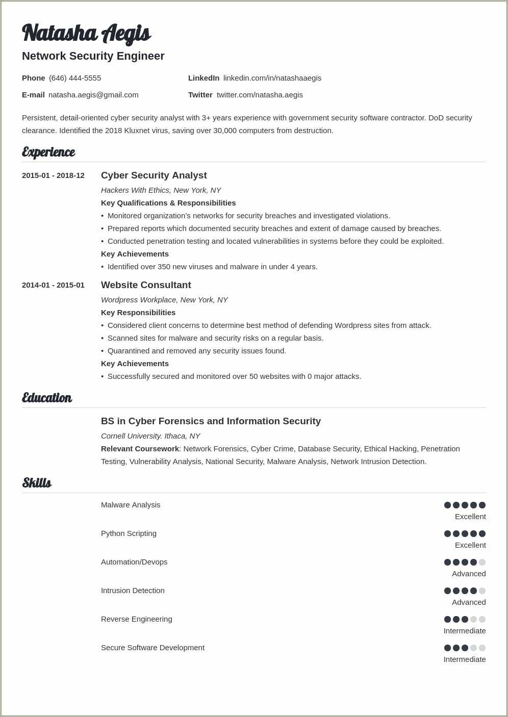 entry-level-cyber-security-resume-sample-resume-example-gallery