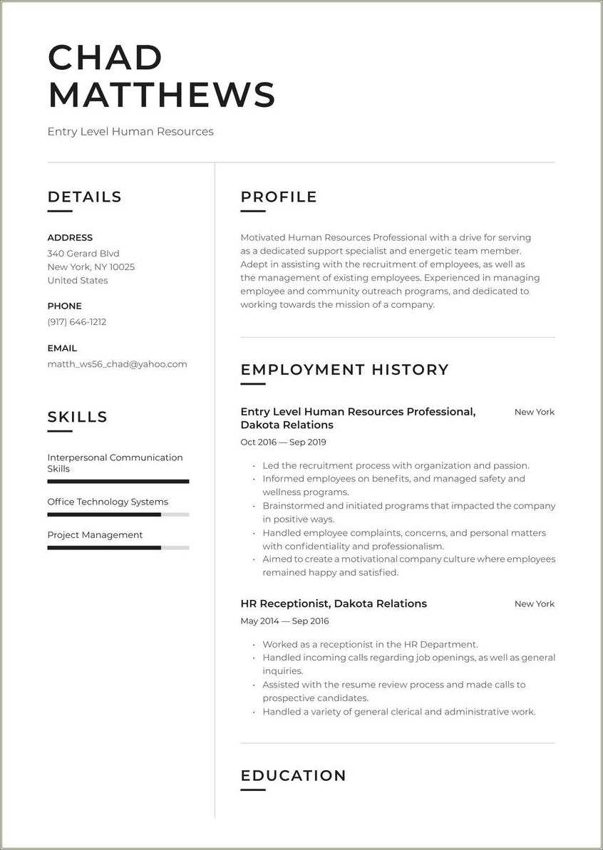 Entry Level Job Resume Summary Resume Example Gallery