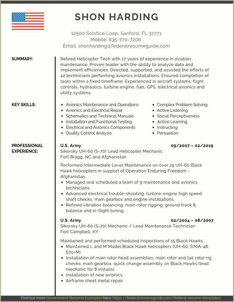 Example Of A Government Resume Format Resume Example Gallery