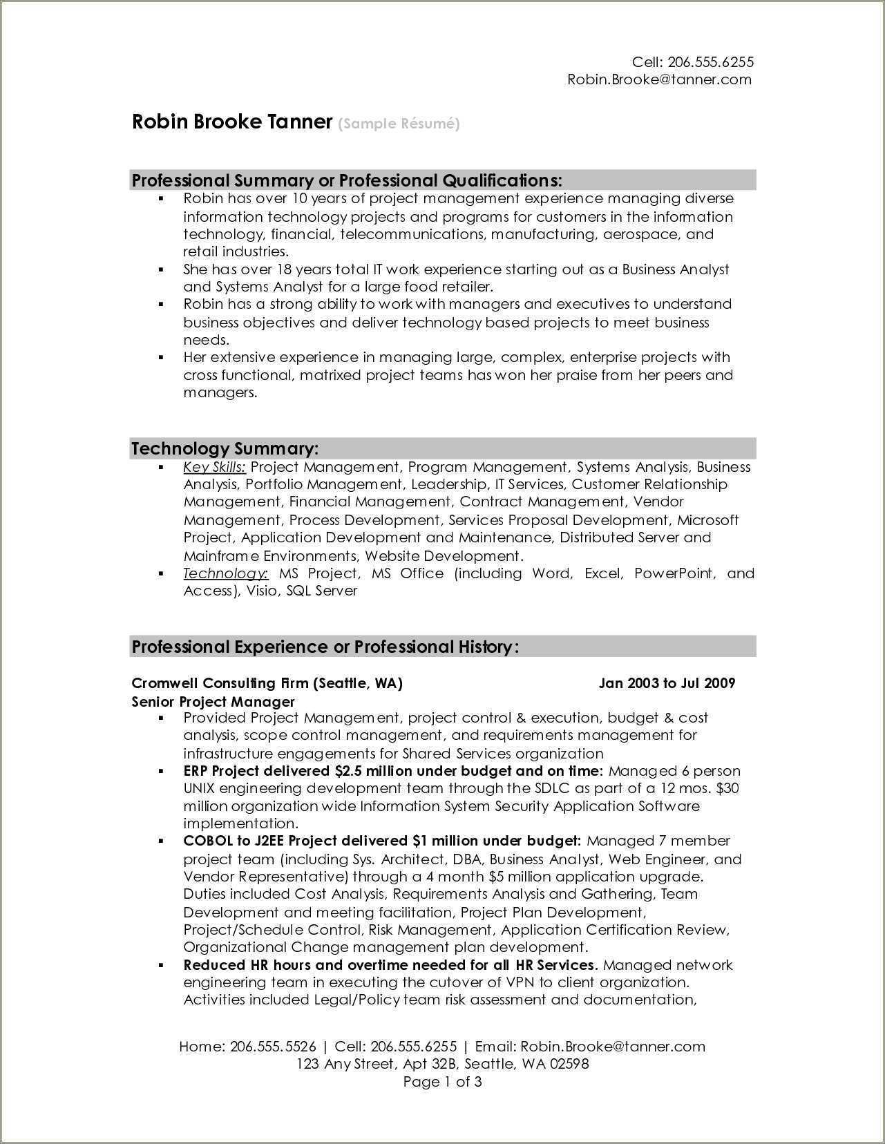 example-of-a-professional-resume-summary-resume-example-gallery